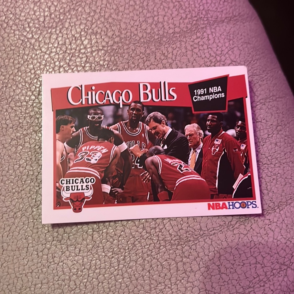Bulls 1991 NBA champs